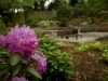 landscaping grounds maintenance flower annapolis, md