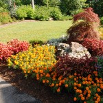 Annual Flower & Plant Rotations Annapolis MD