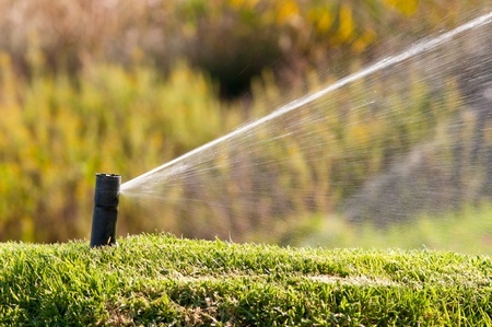 Water-Saving Strategies for Lawn Care