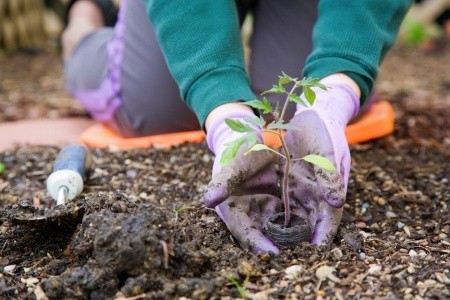 Preparing Your Soil for Spring Gardening