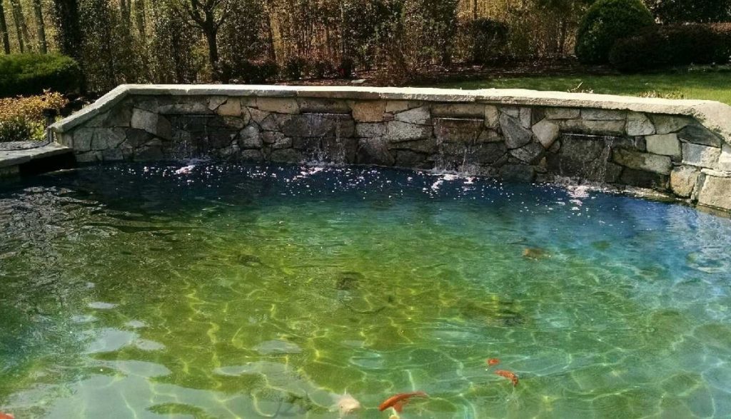 professionally installed outdoor pond