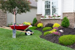 Landscaping Mistakes 