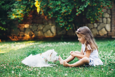 Child playing with dog in the lawn
