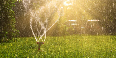 Properly watering grass with sprinkler for the summer months
