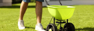 Homeowner Fertilizer Lawn