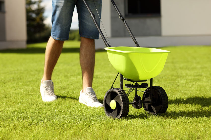 Homeowner Fertilizer Lawn