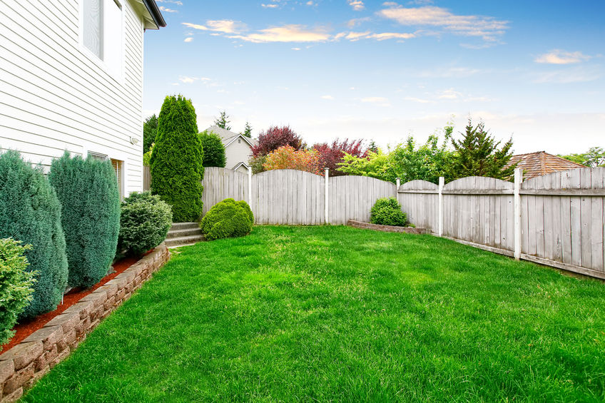 Backyard with Green Lawn and White Fence